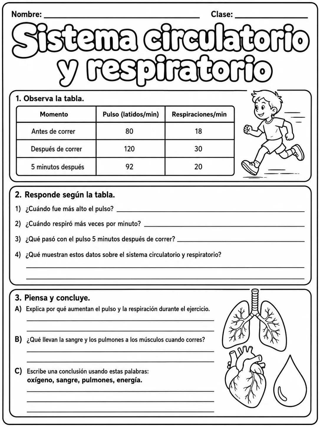 2.º grado - cuerpo humano y salud - Paquete de fichas - Conjunto 4 página 9 vista previa imprimible