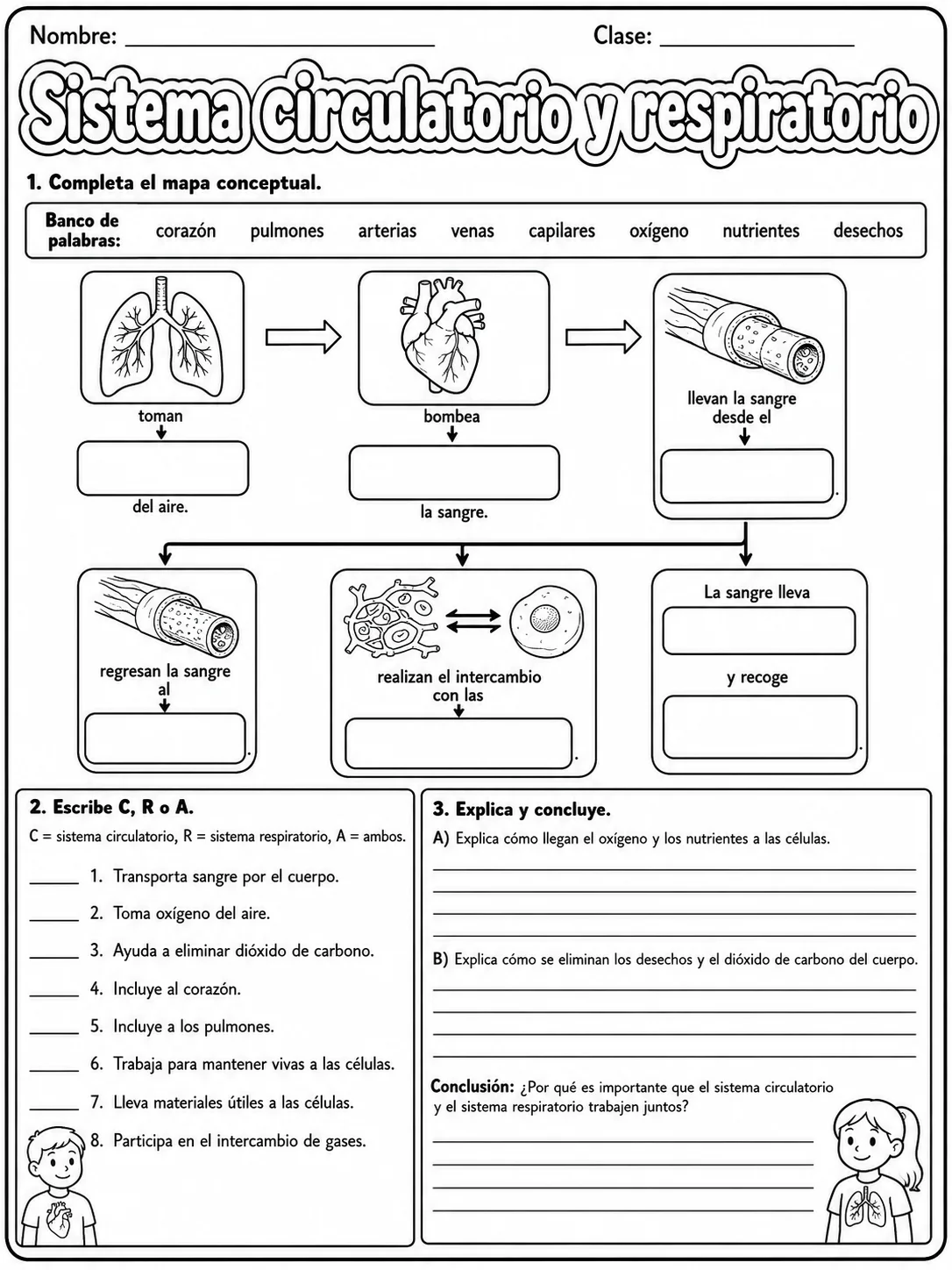 2.º grado - cuerpo humano y salud - Paquete de fichas - Conjunto 4 página 10 vista previa imprimible