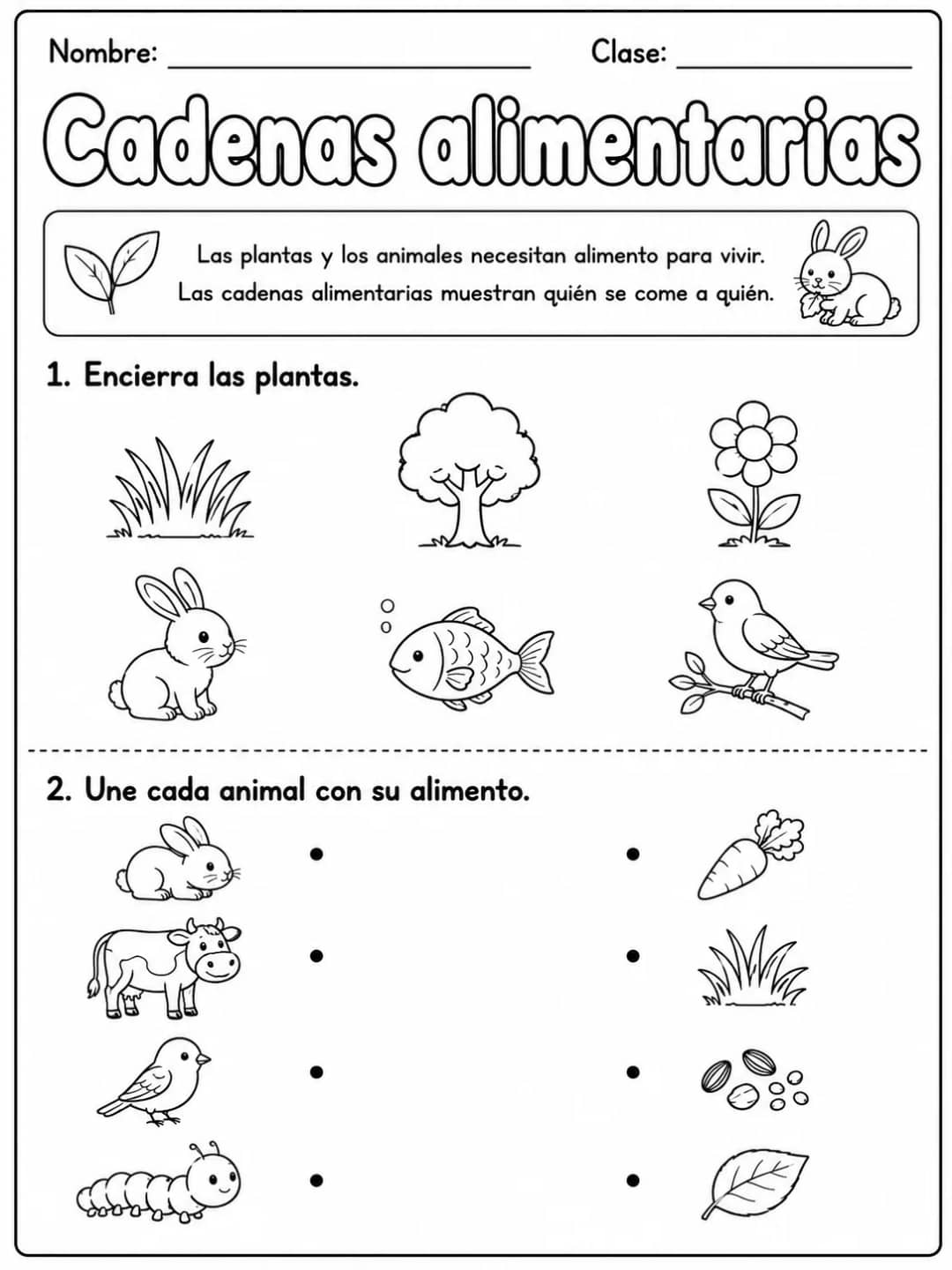 2.º grado - plantas - Paquete de fichas - Conjunto 2 vista previa imprimible de ciencias en KiwiBee