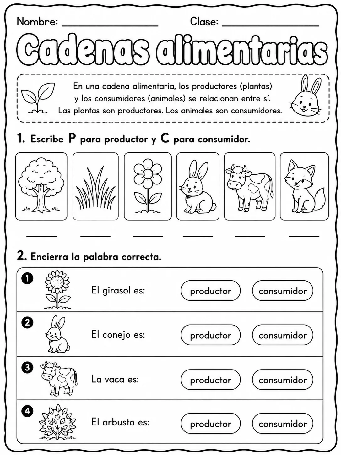 2.º grado - plantas - Paquete de fichas - Conjunto 2 página 2 vista previa imprimible