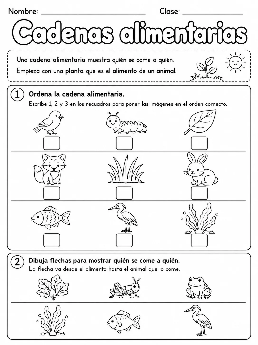 2.º grado - plantas - Paquete de fichas - Conjunto 2 página 3 vista previa imprimible