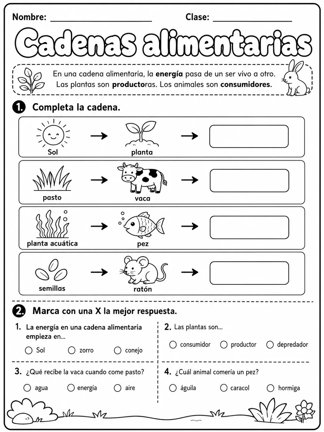 2.º grado - plantas - Paquete de fichas - Conjunto 2 página 4 vista previa imprimible