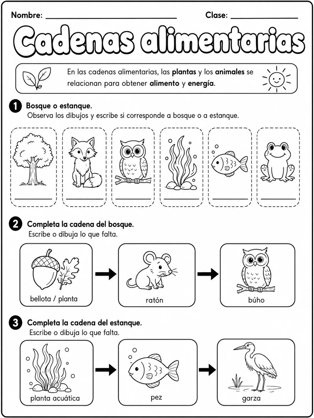 2.º grado - plantas - Paquete de fichas - Conjunto 2 página 6 vista previa imprimible