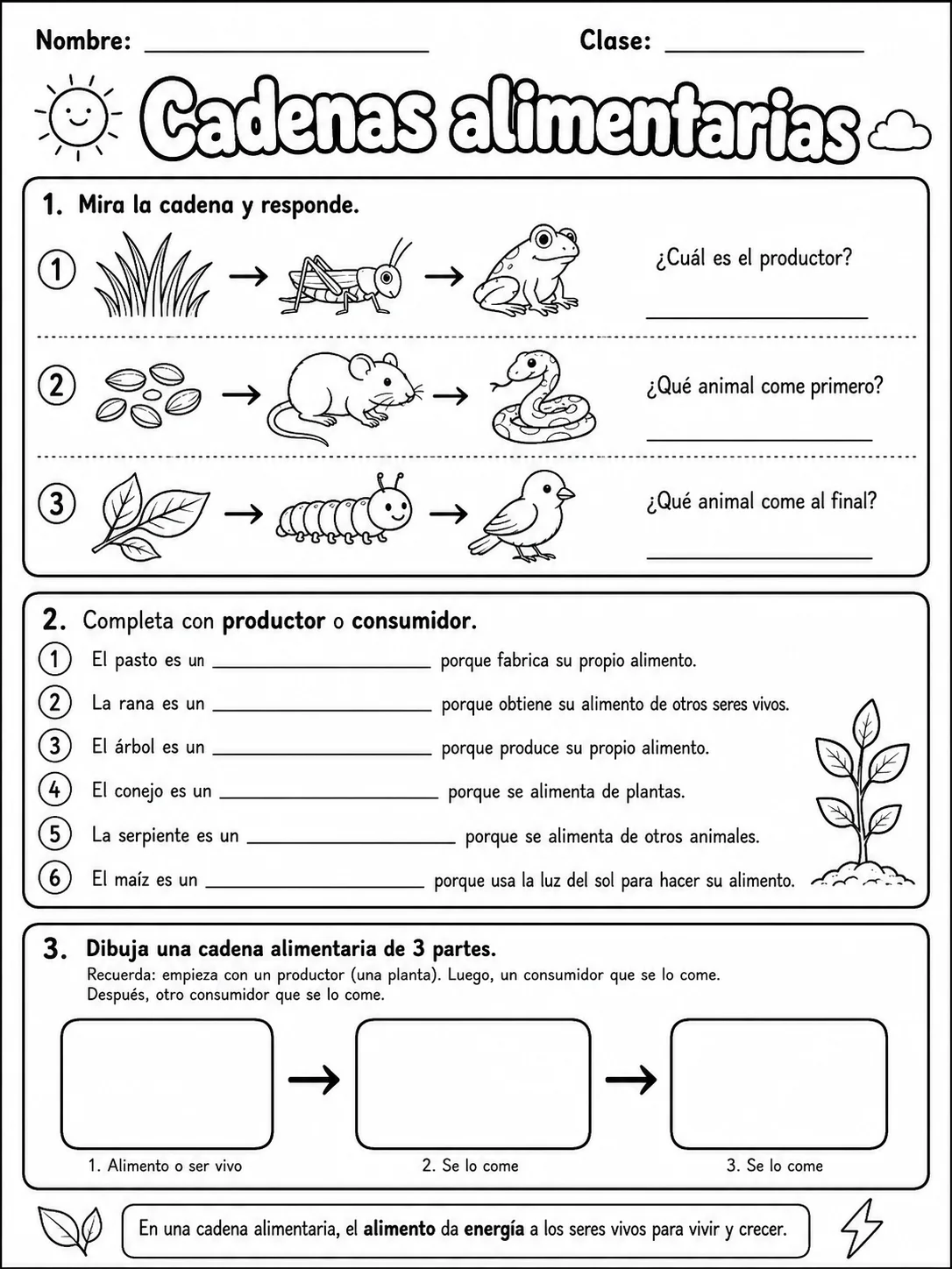 2.º grado - plantas - Paquete de fichas - Conjunto 2 página 7 vista previa imprimible