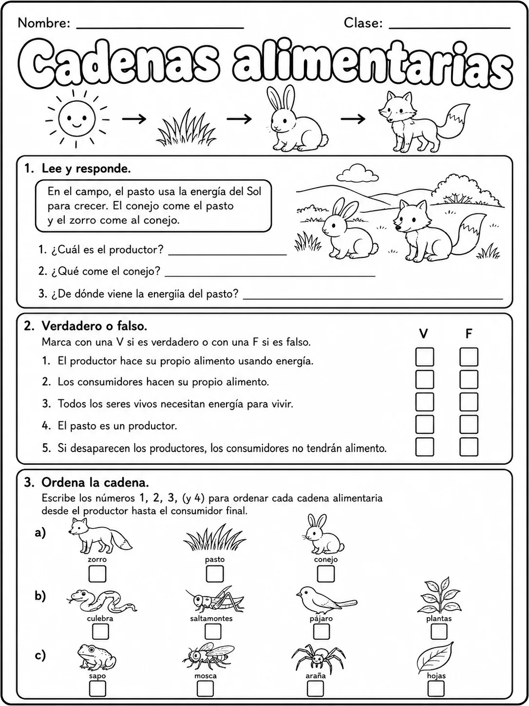 2.º grado - plantas - Paquete de fichas - Conjunto 2 página 9 vista previa imprimible