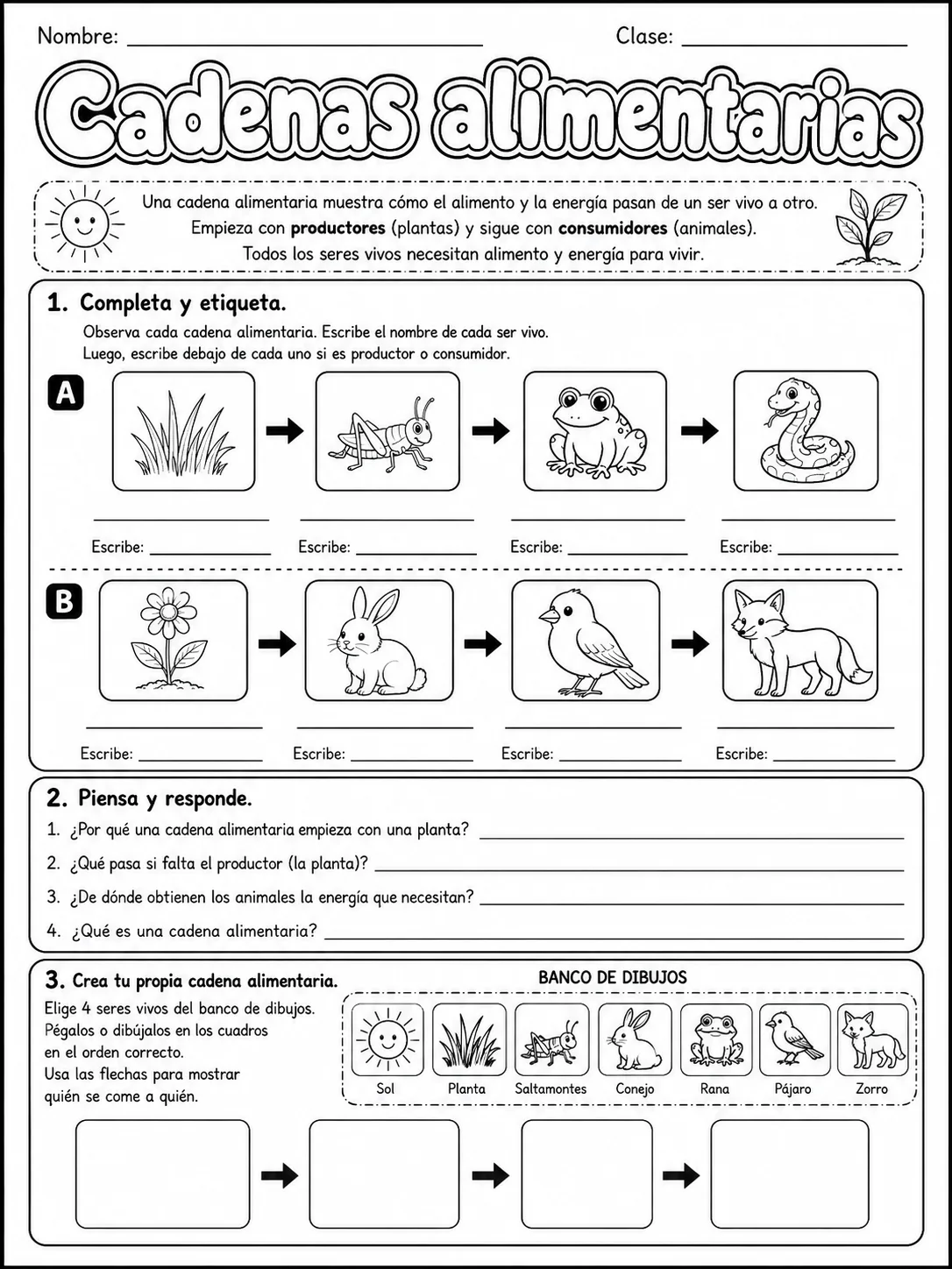 2.º grado - plantas - Paquete de fichas - Conjunto 2 página 10 vista previa imprimible