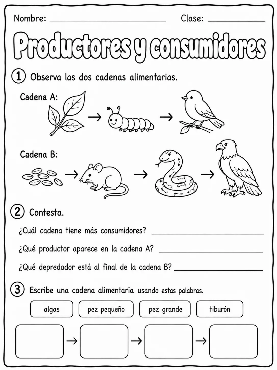 2.º grado - plantas - Paquete de fichas - Conjunto 3 página 9 vista previa imprimible