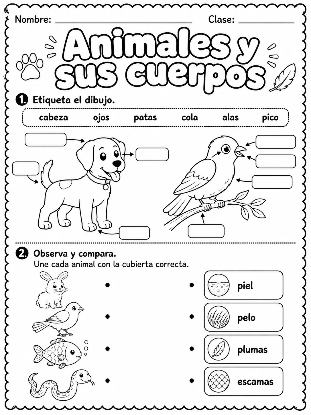 3.º grado - animales y hábitats - Paquete de fichas - Conjunto 2 página 4 vista previa imprimible