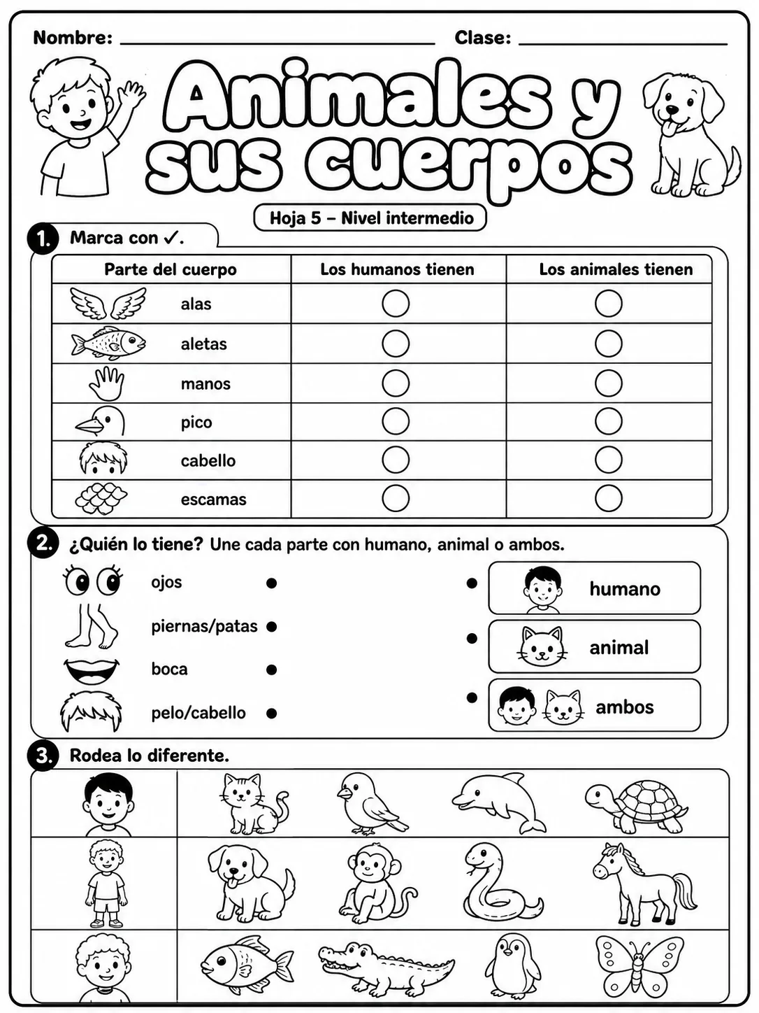 3.º grado - animales y hábitats - Paquete de fichas - Conjunto 2 página 5 vista previa imprimible