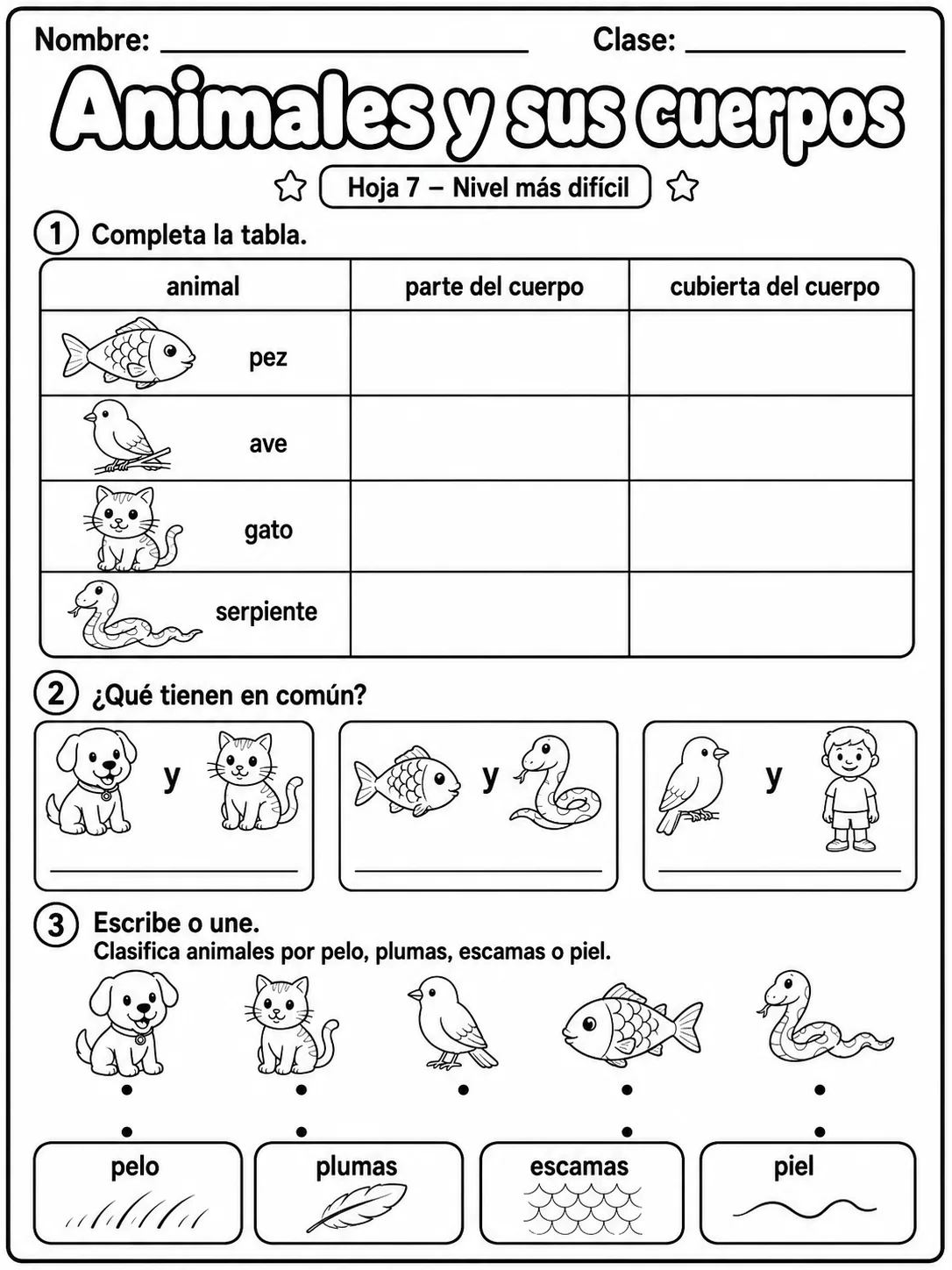 3.º grado - animales y hábitats - Paquete de fichas - Conjunto 2 página 7 vista previa imprimible