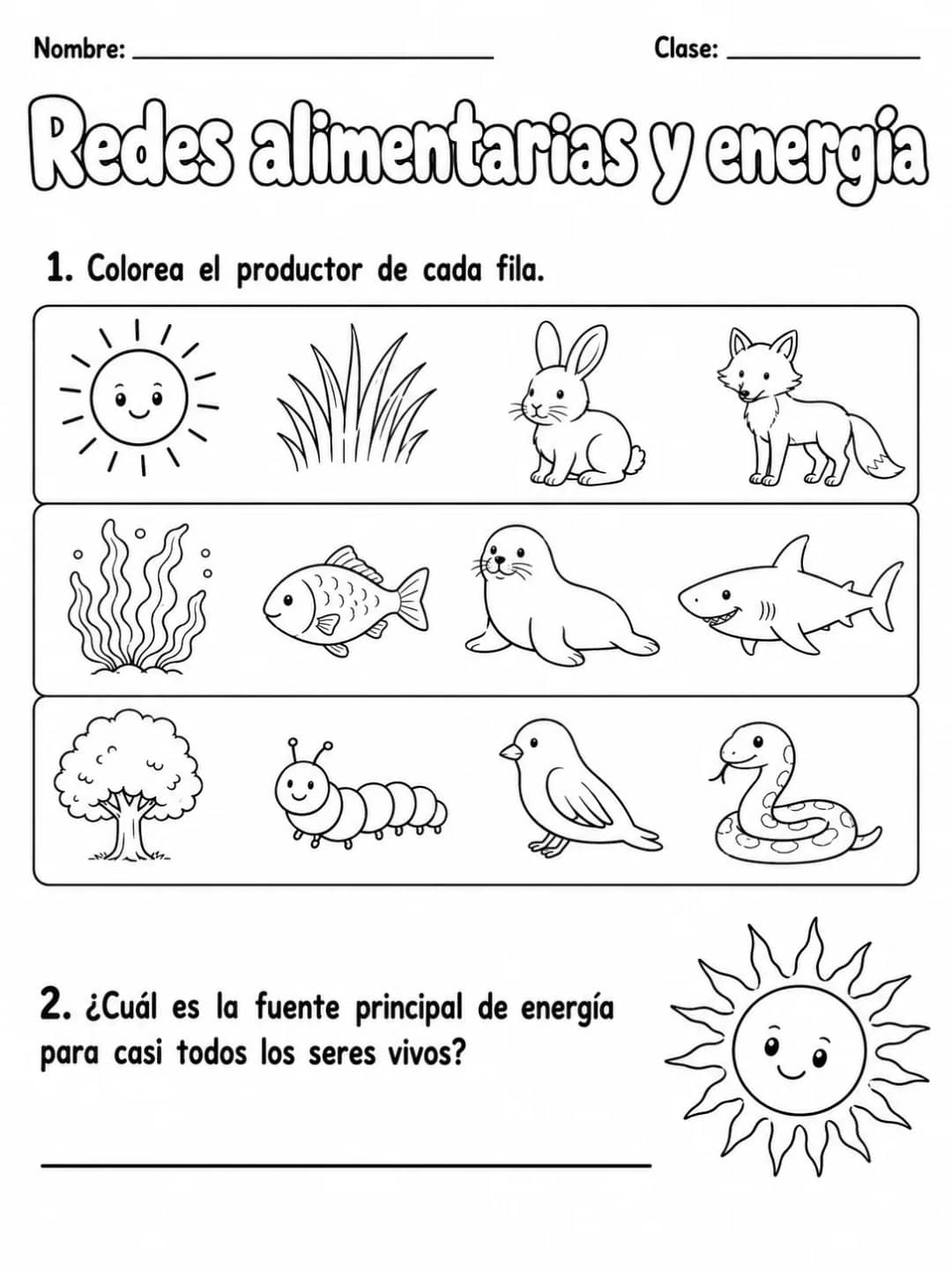 3.º grado - ciencias físicas - Paquete de fichas - Conjunto 7 vista previa imprimible de ciencias en KiwiBee
