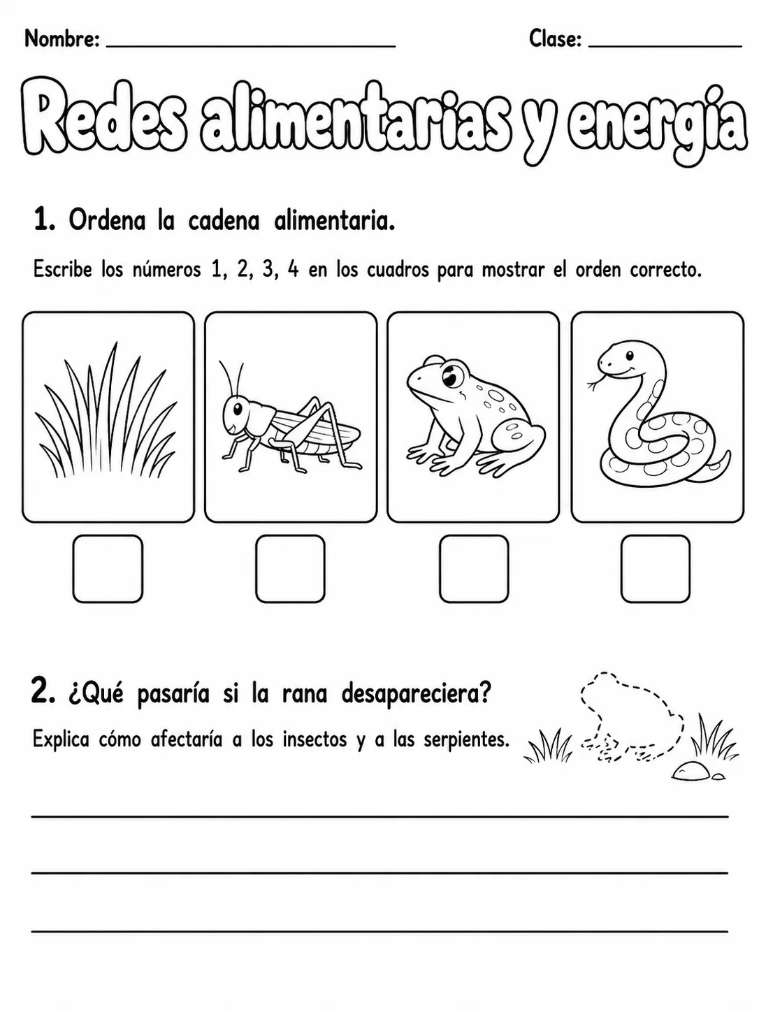 3.º grado - ciencias físicas - Paquete de fichas - Conjunto 7 página 3 vista previa imprimible