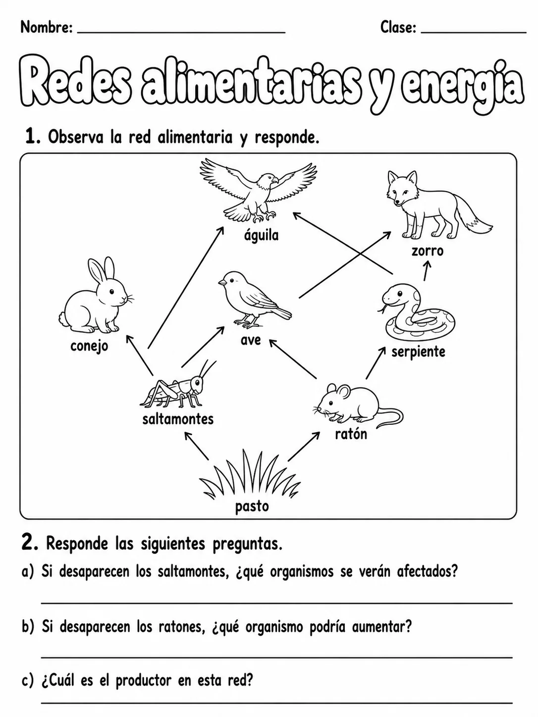 3.º grado - ciencias físicas - Paquete de fichas - Conjunto 7 página 4 vista previa imprimible