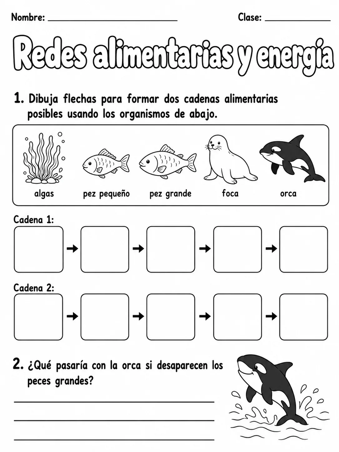 3.º grado - ciencias físicas - Paquete de fichas - Conjunto 7 página 6 vista previa imprimible