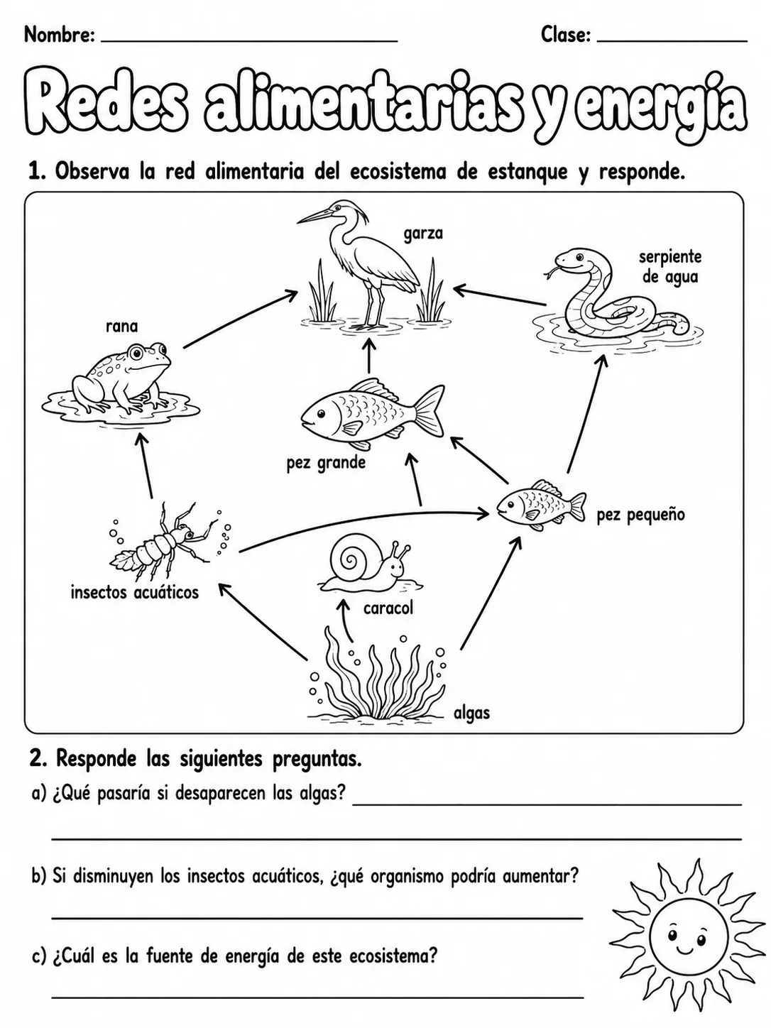3.º grado - ciencias físicas - Paquete de fichas - Conjunto 7 página 8 vista previa imprimible