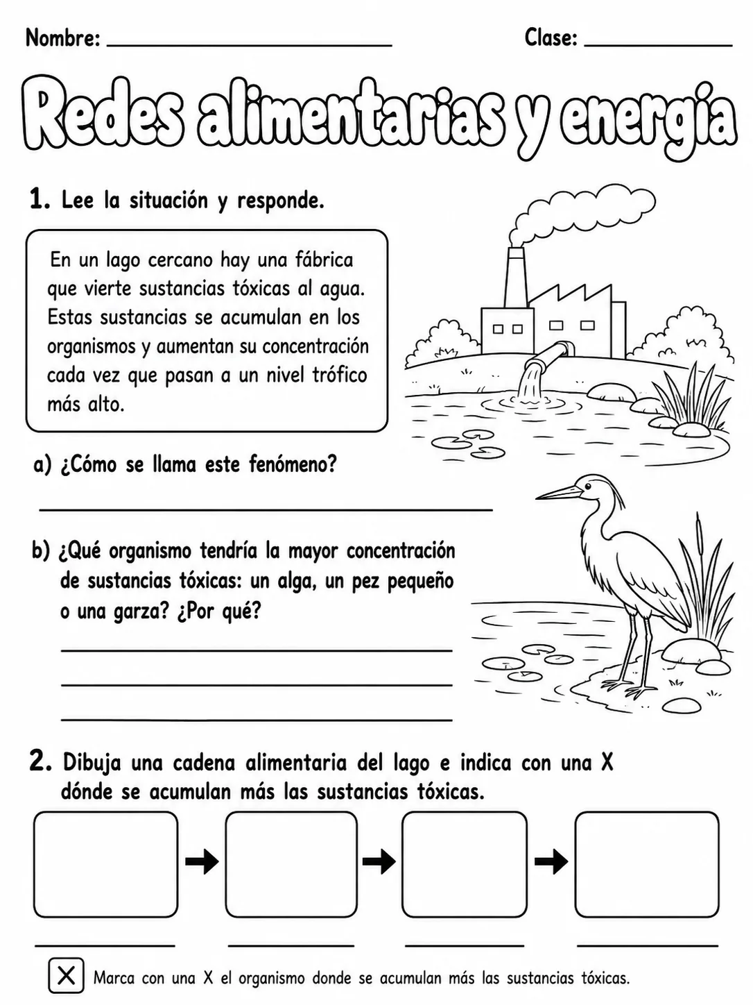 3.º grado - ciencias físicas - Paquete de fichas - Conjunto 7 página 9 vista previa imprimible