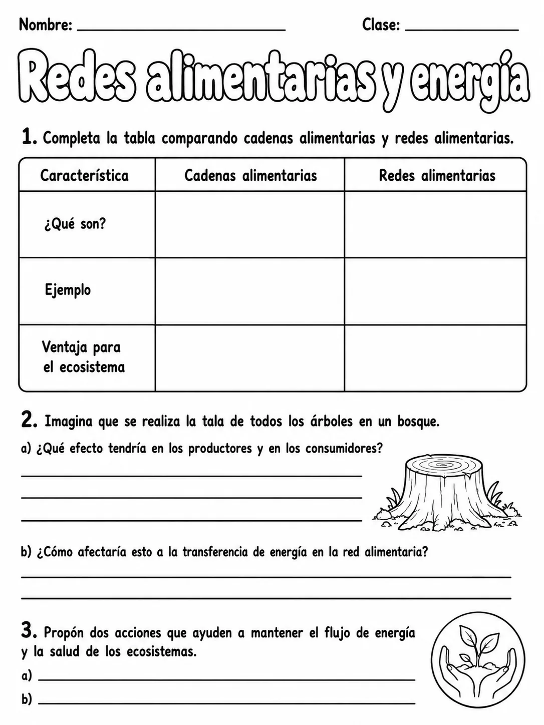 3.º grado - ciencias físicas - Paquete de fichas - Conjunto 7 página 10 vista previa imprimible