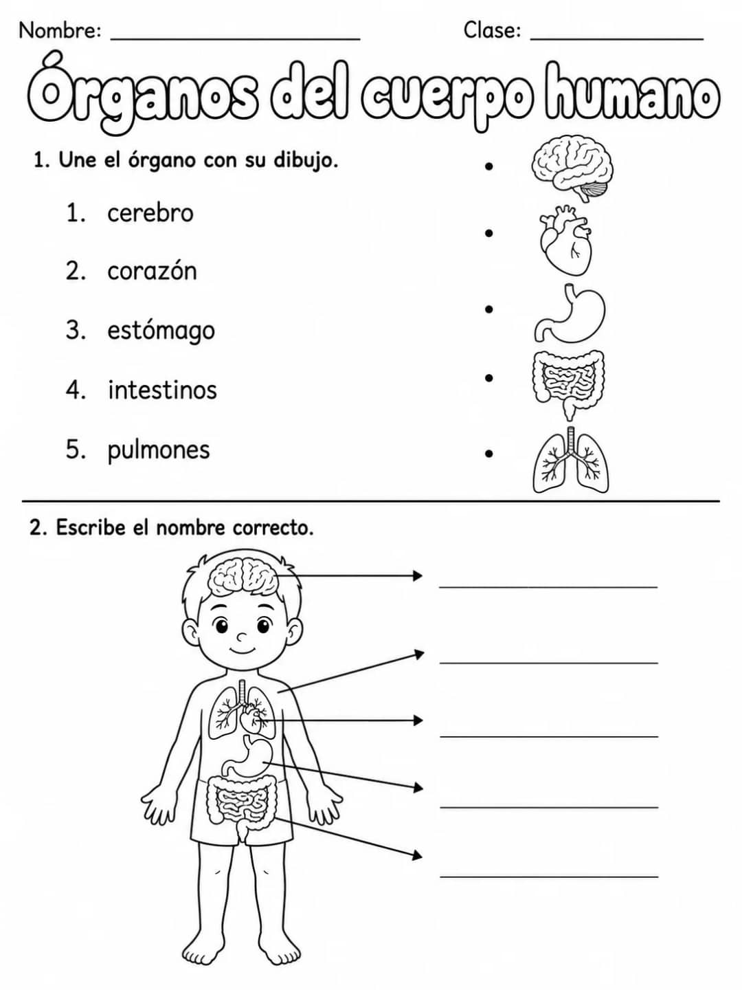 3.º grado - ciencias naturales - Paquete de fichas - Conjunto 2 vista previa imprimible de ciencias en KiwiBee