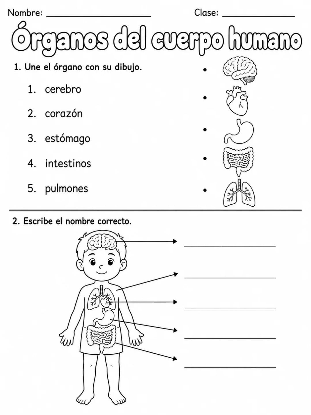 3.º grado - ciencias naturales - Paquete de fichas - Conjunto 2 página 1 vista previa imprimible