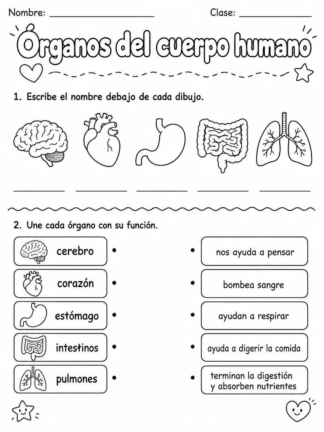 3.º grado - ciencias naturales - Paquete de fichas - Conjunto 2 página 2 vista previa imprimible