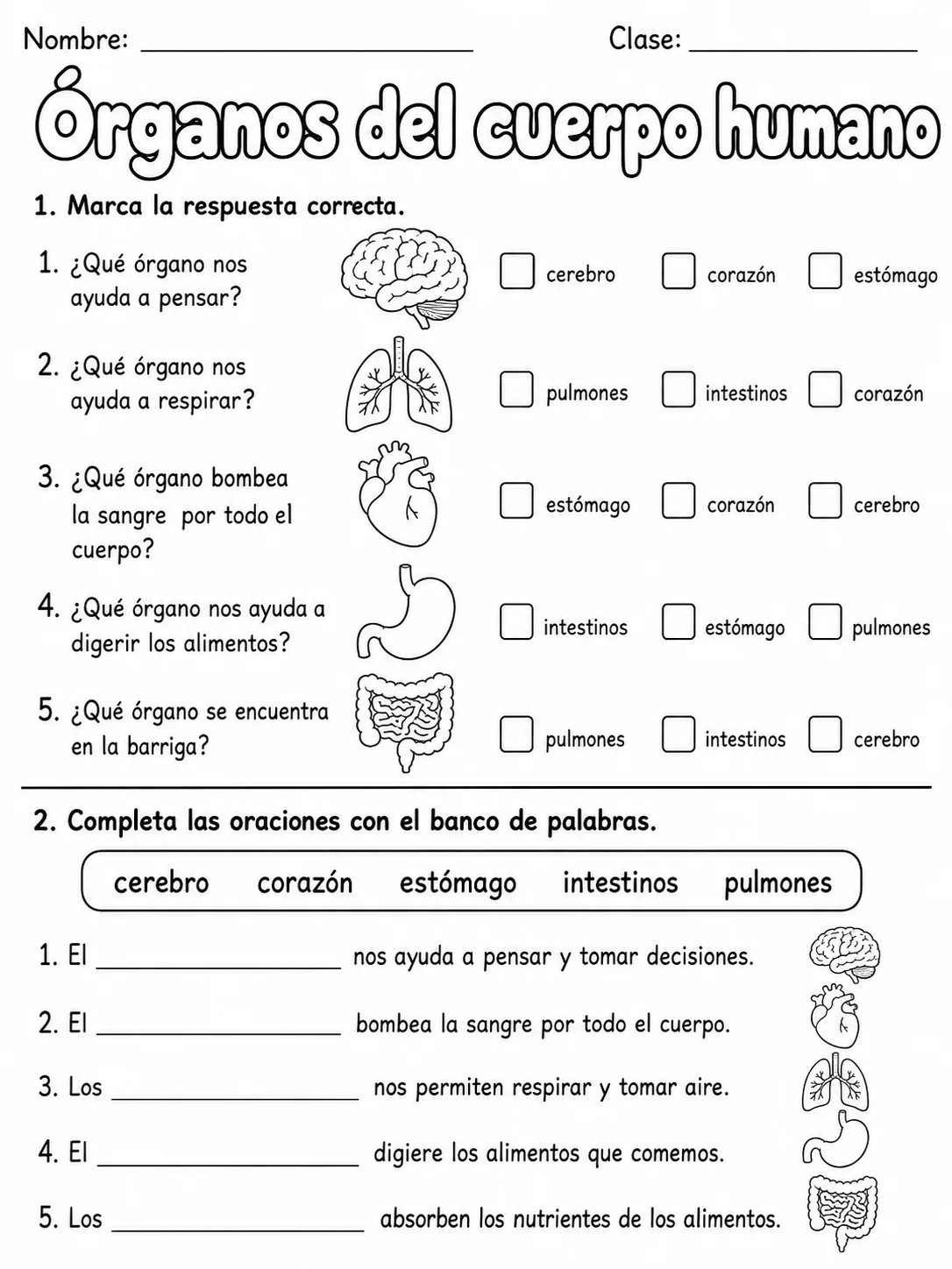 3.º grado - ciencias naturales - Paquete de fichas - Conjunto 2 página 3 vista previa imprimible