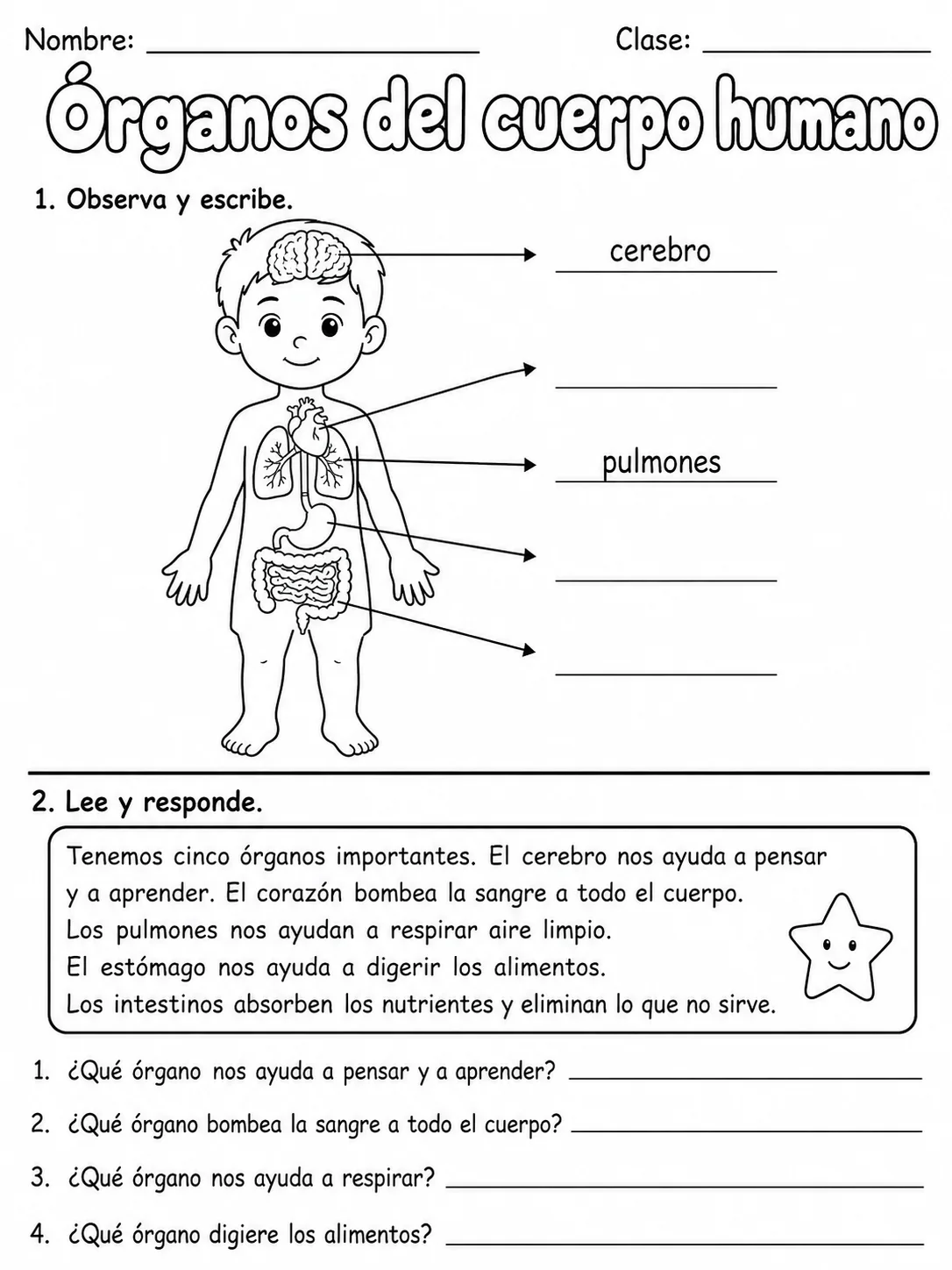 3.º grado - ciencias naturales - Paquete de fichas - Conjunto 2 página 4 vista previa imprimible