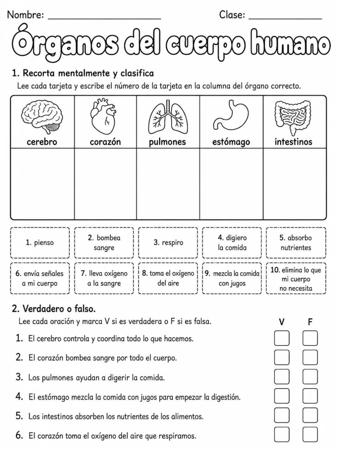 3.º grado - ciencias naturales - Paquete de fichas - Conjunto 2 página 5 vista previa imprimible