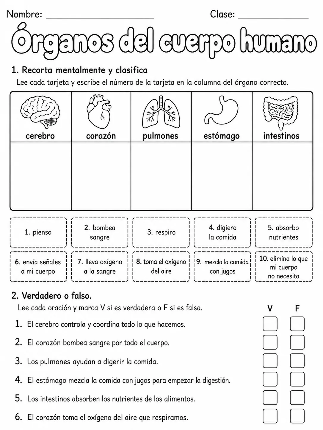 3.º grado - ciencias naturales - Paquete de fichas - Conjunto 2 página 5 vista previa imprimible