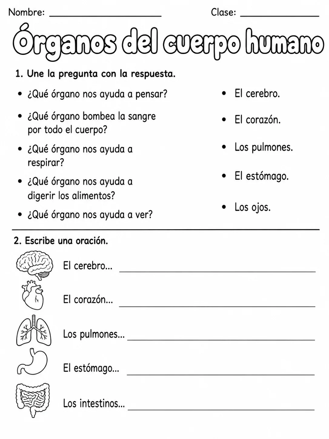 3.º grado - ciencias naturales - Paquete de fichas - Conjunto 2 página 6 vista previa imprimible