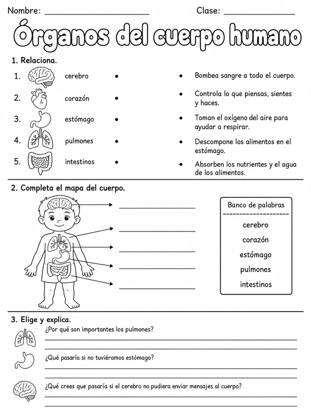 3.º grado - ciencias naturales - Paquete de fichas - Conjunto 2 página 7 vista previa imprimible
