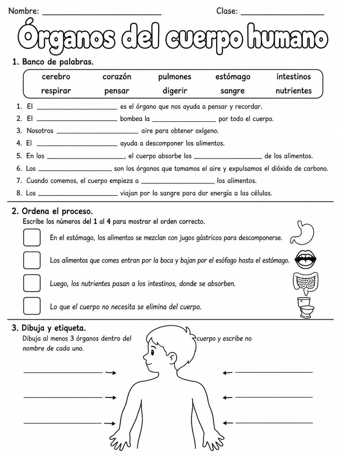 3.º grado - ciencias naturales - Paquete de fichas - Conjunto 2 página 8 vista previa imprimible