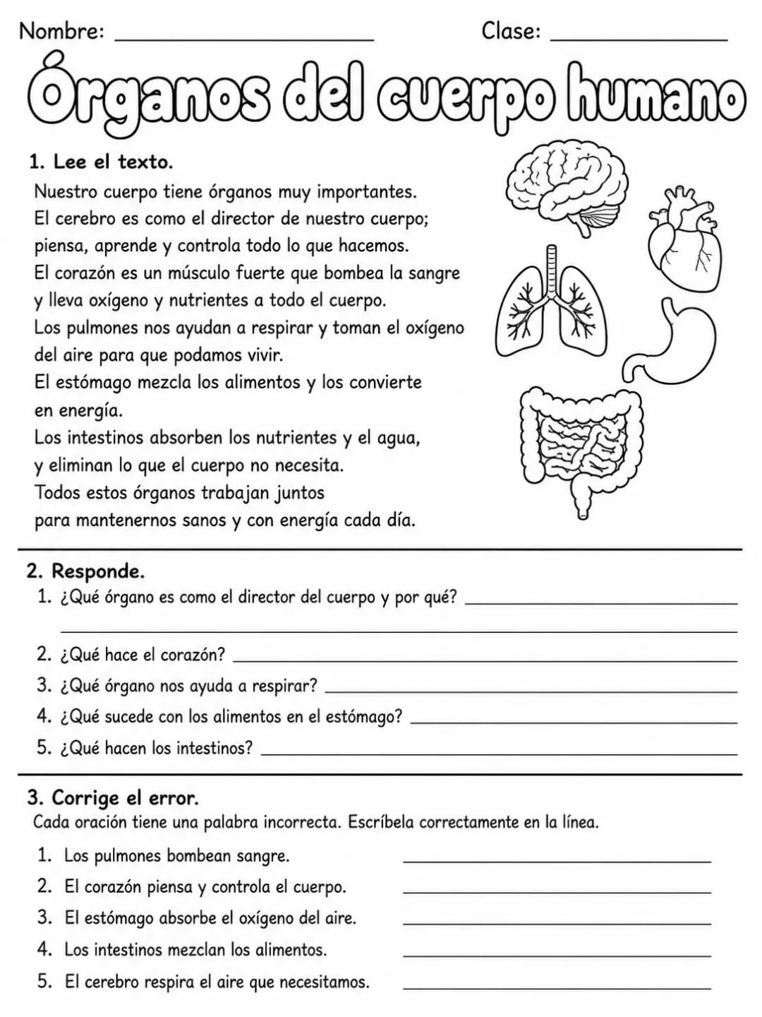 3.º grado - ciencias naturales - Paquete de fichas - Conjunto 2 página 9 vista previa imprimible