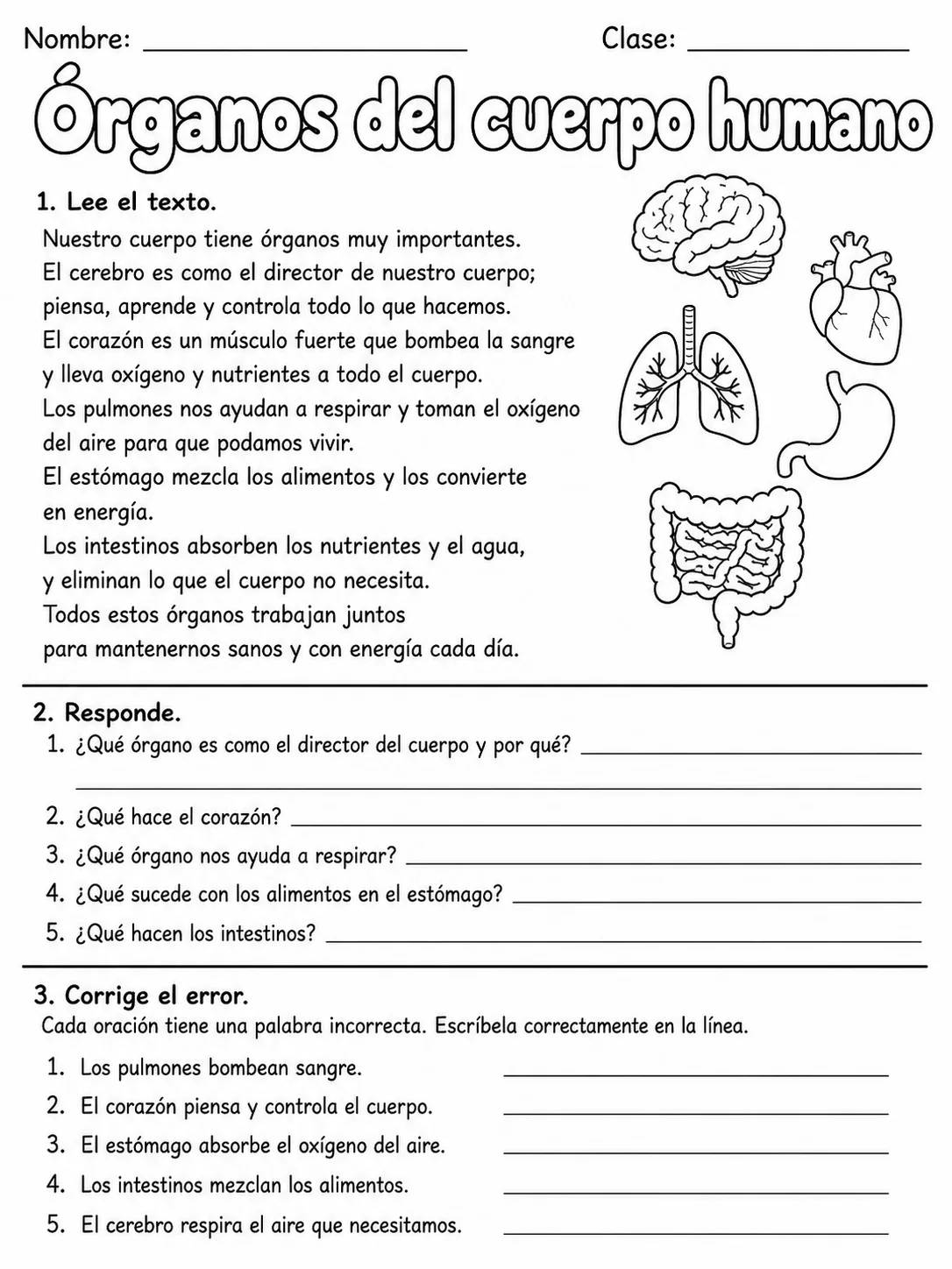 3.º grado - ciencias naturales - Paquete de fichas - Conjunto 2 página 9 vista previa imprimible