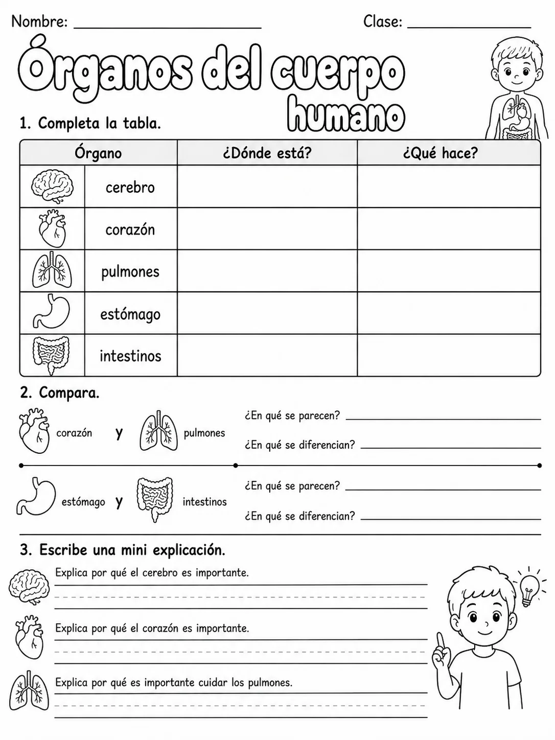 3.º grado - ciencias naturales - Paquete de fichas - Conjunto 2 página 10 vista previa imprimible