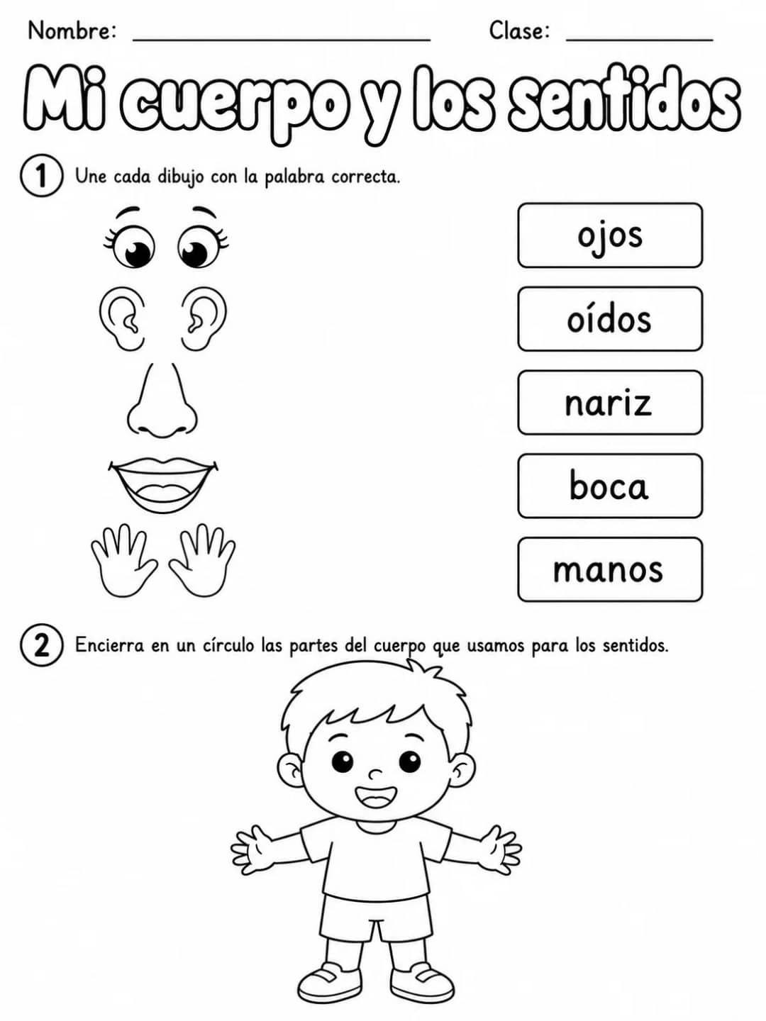 3.º grado - cuerpo humano y salud - Paquete de fichas - Conjunto 2 vista previa imprimible de ciencias en KiwiBee