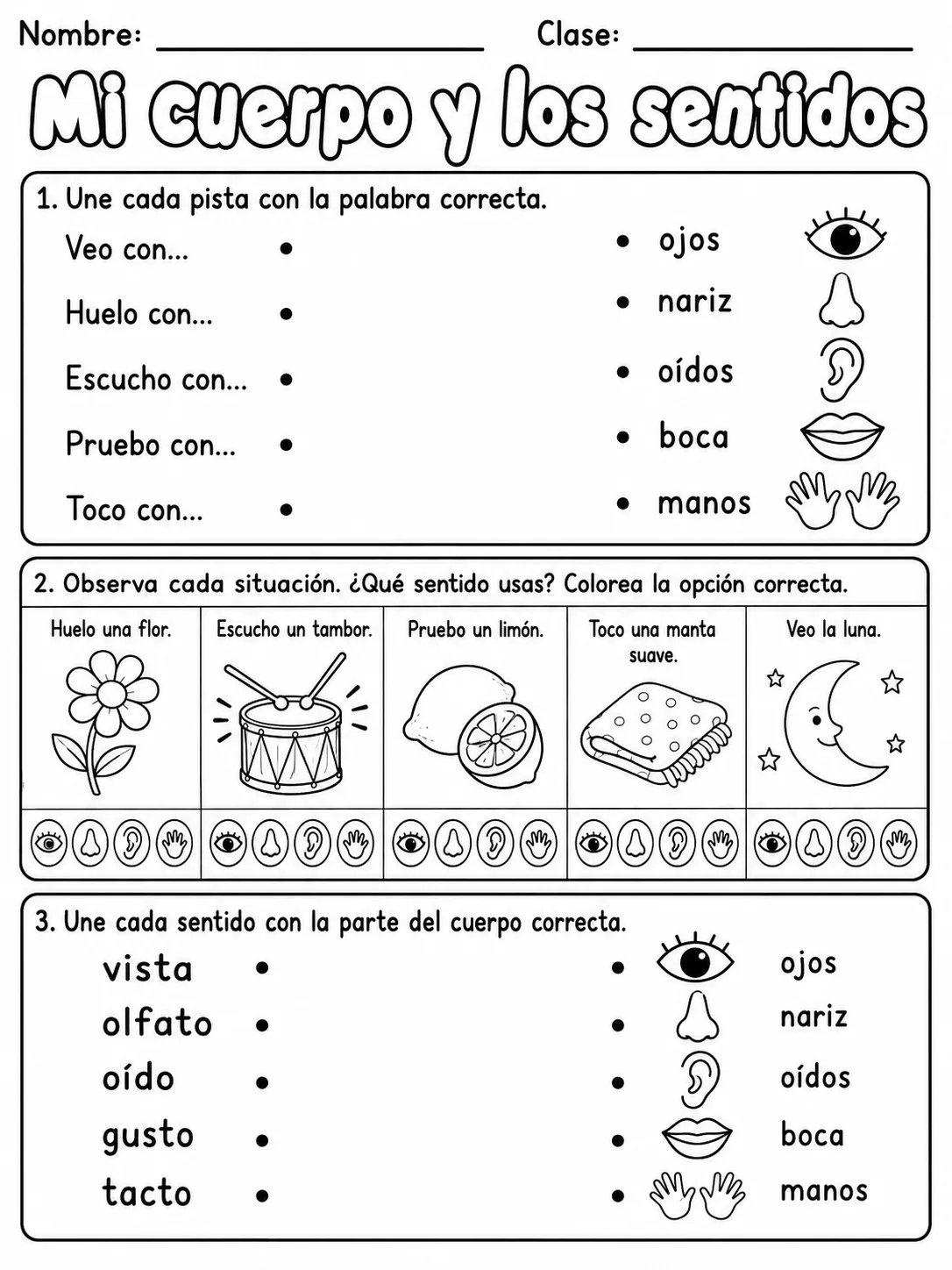 3.º grado - cuerpo humano y salud - Paquete de fichas - Conjunto 2 página 8 vista previa imprimible