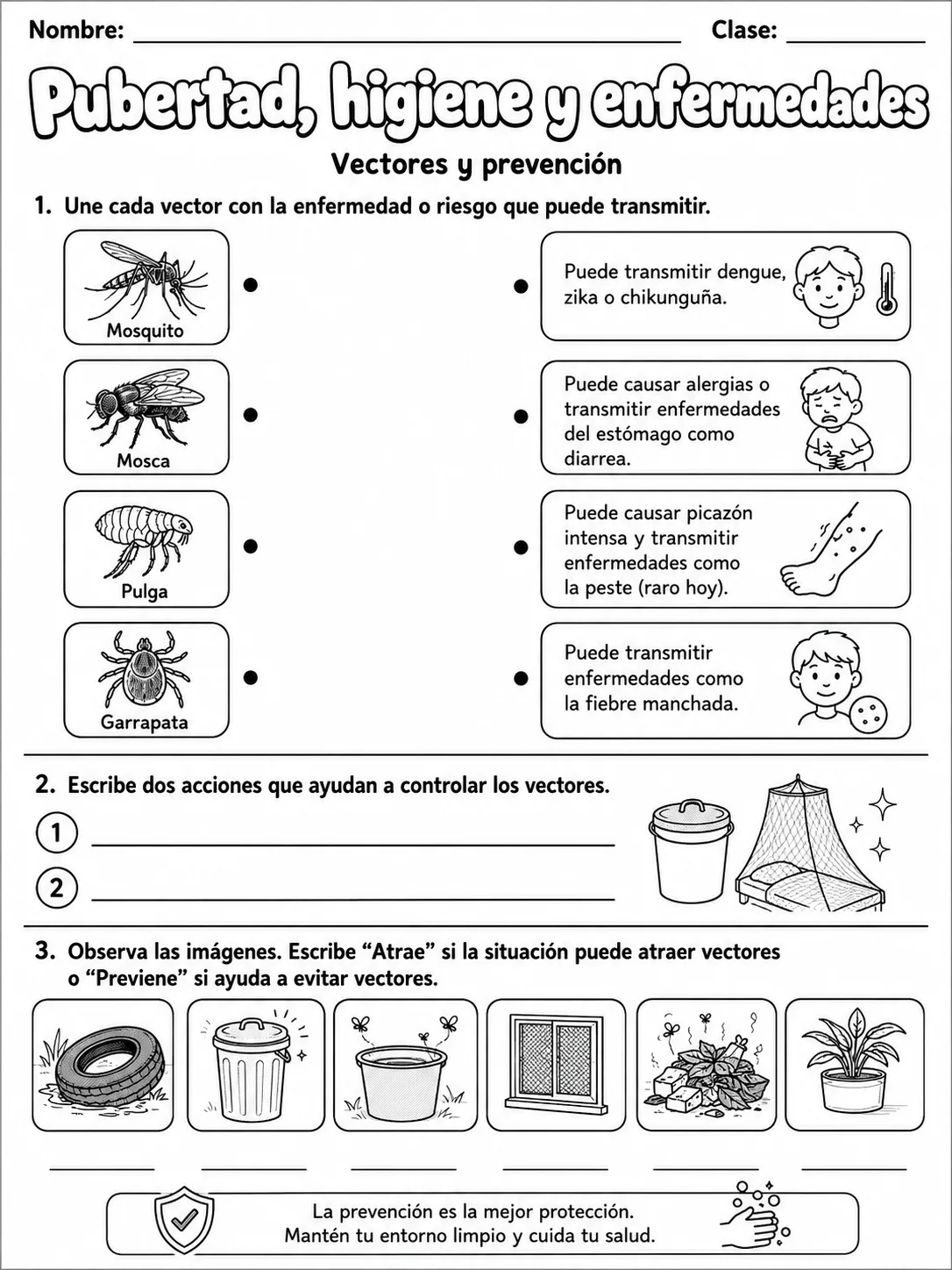 3.º grado - cuerpo humano y salud - Paquete de fichas página 5 vista previa imprimible