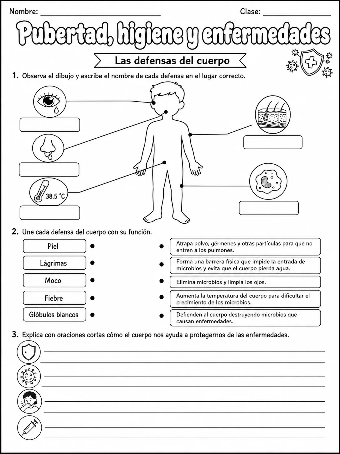 3.º grado - cuerpo humano y salud - Paquete de fichas página 6 vista previa imprimible