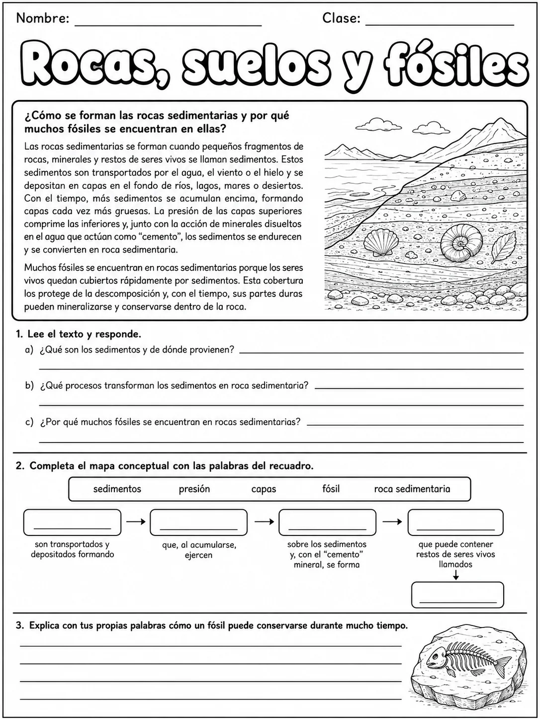 3.º grado - materiales - Paquete de fichas página 7 vista previa imprimible