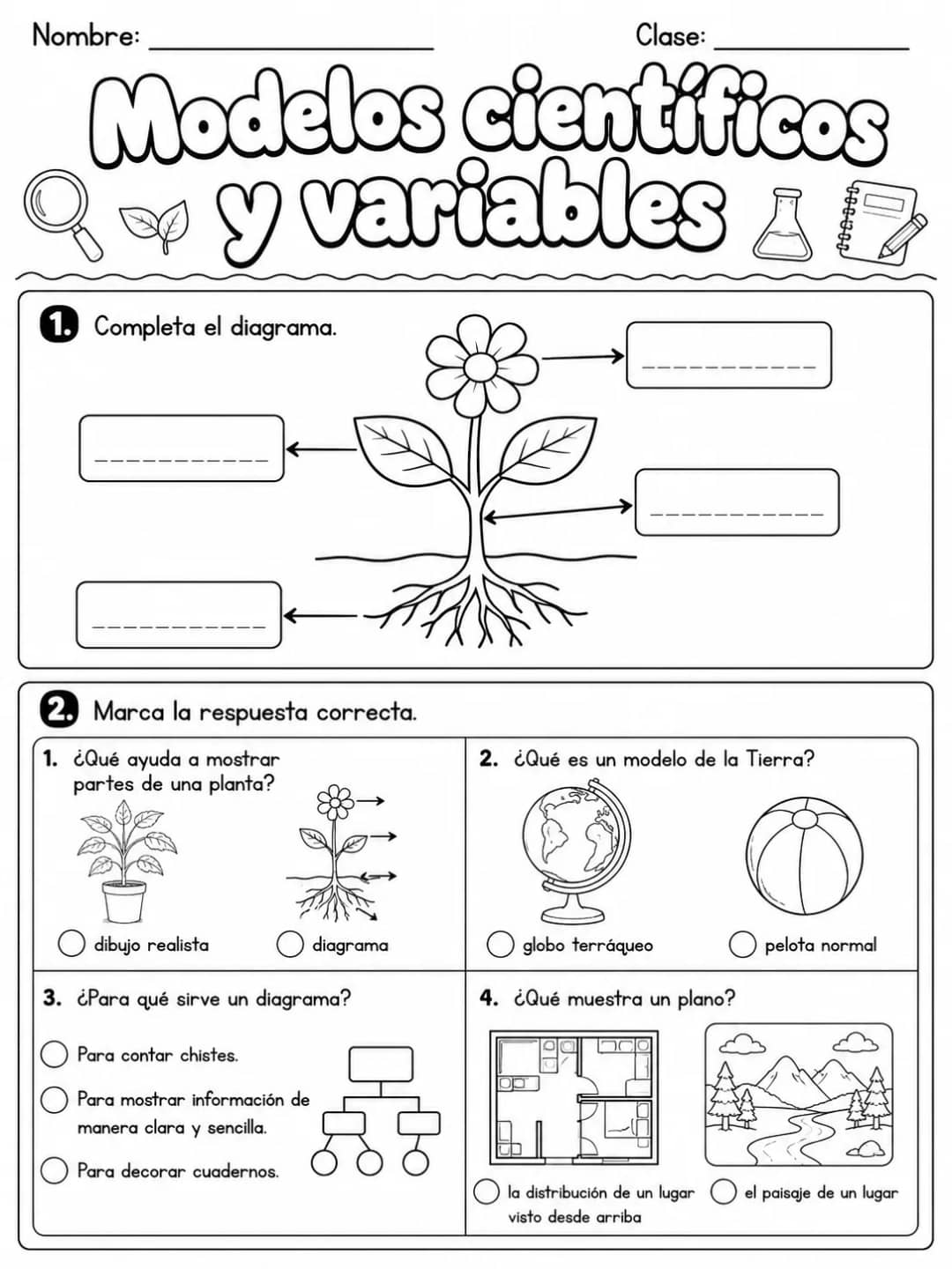 3.º grado - plantas - Paquete de fichas - Conjunto 2 vista previa imprimible de ciencias en KiwiBee