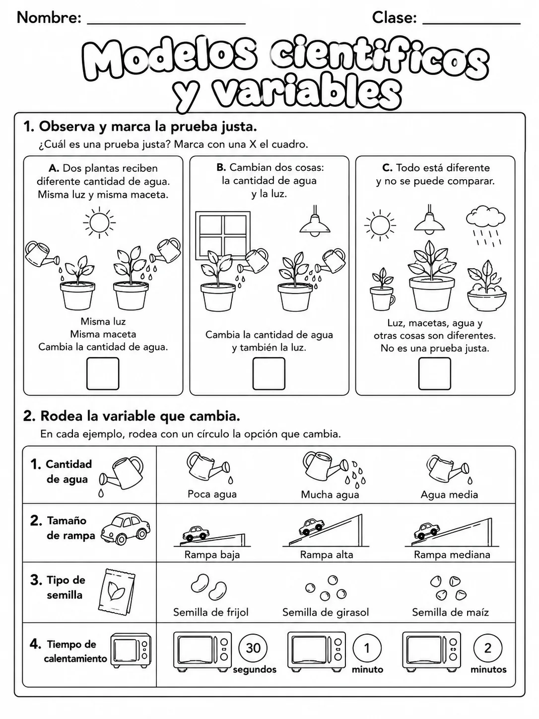 3.º grado - plantas - Paquete de fichas - Conjunto 2 página 2 vista previa imprimible