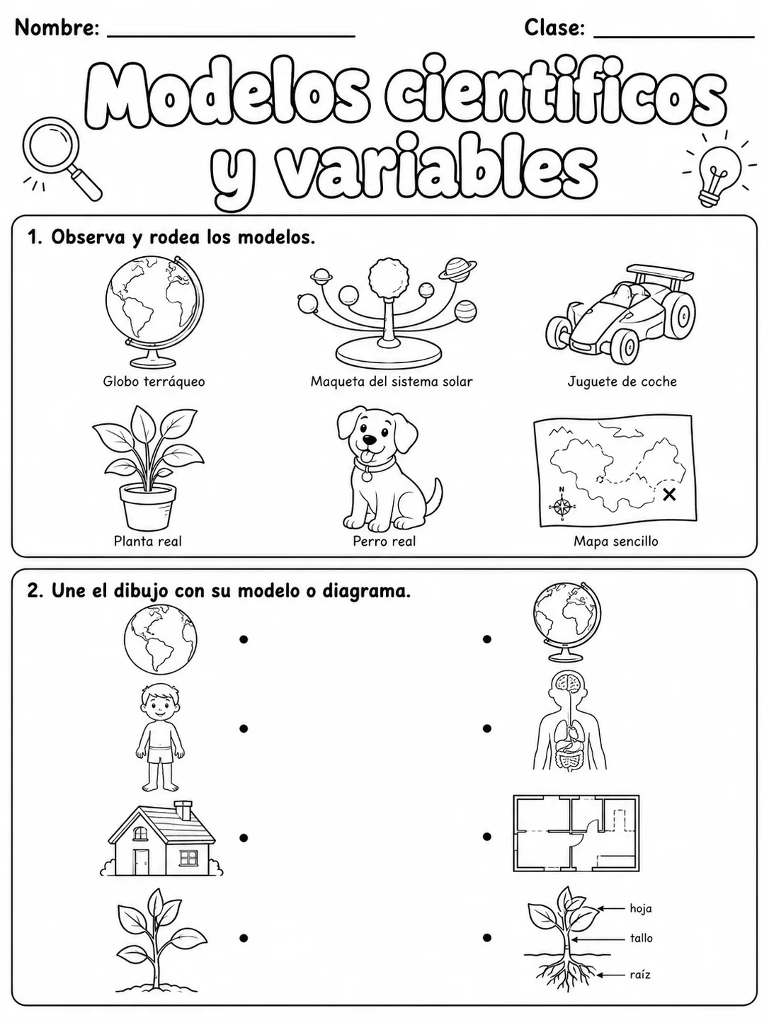 3.º grado - plantas - Paquete de fichas - Conjunto 2 página 4 vista previa imprimible