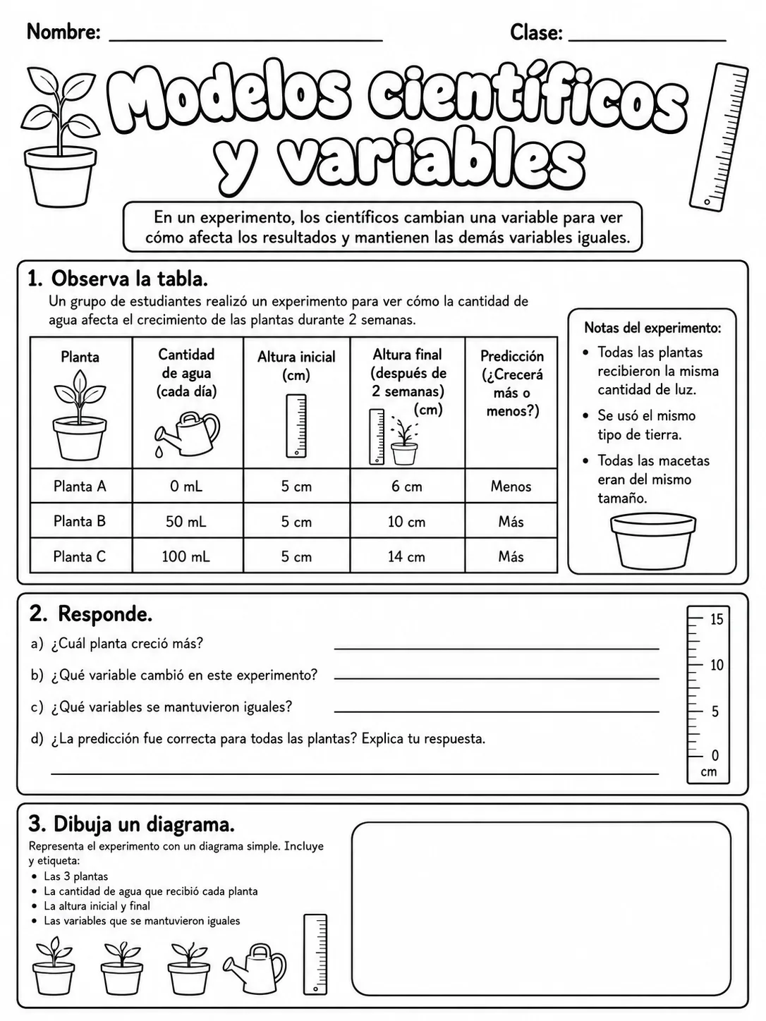 3.º grado - plantas - Paquete de fichas - Conjunto 2 página 8 vista previa imprimible