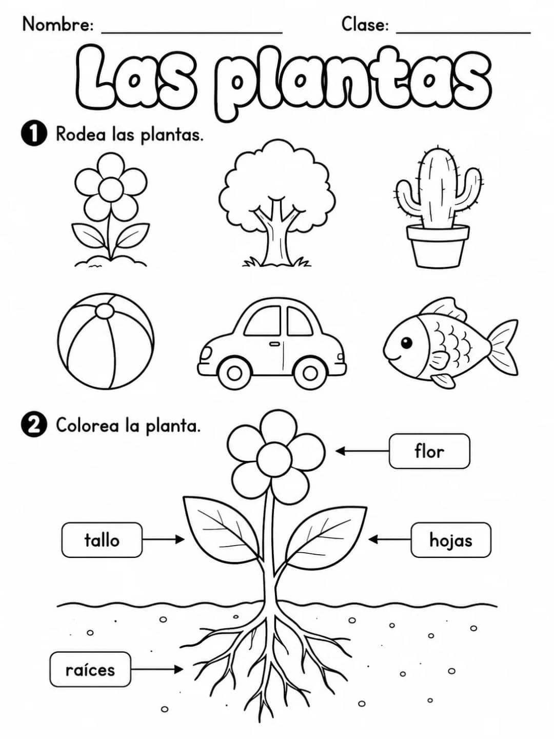 3.º grado - plantas - Paquete de fichas - Conjunto 3 vista previa imprimible de ciencias en KiwiBee