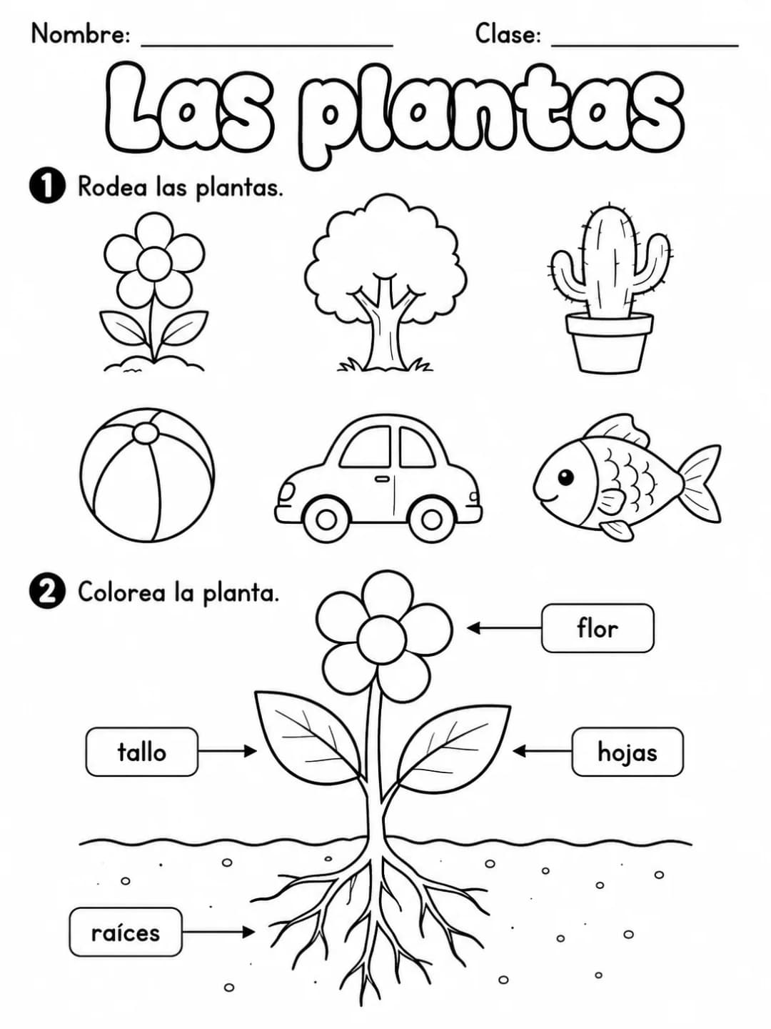 3.º grado - plantas - Paquete de fichas - Conjunto 3