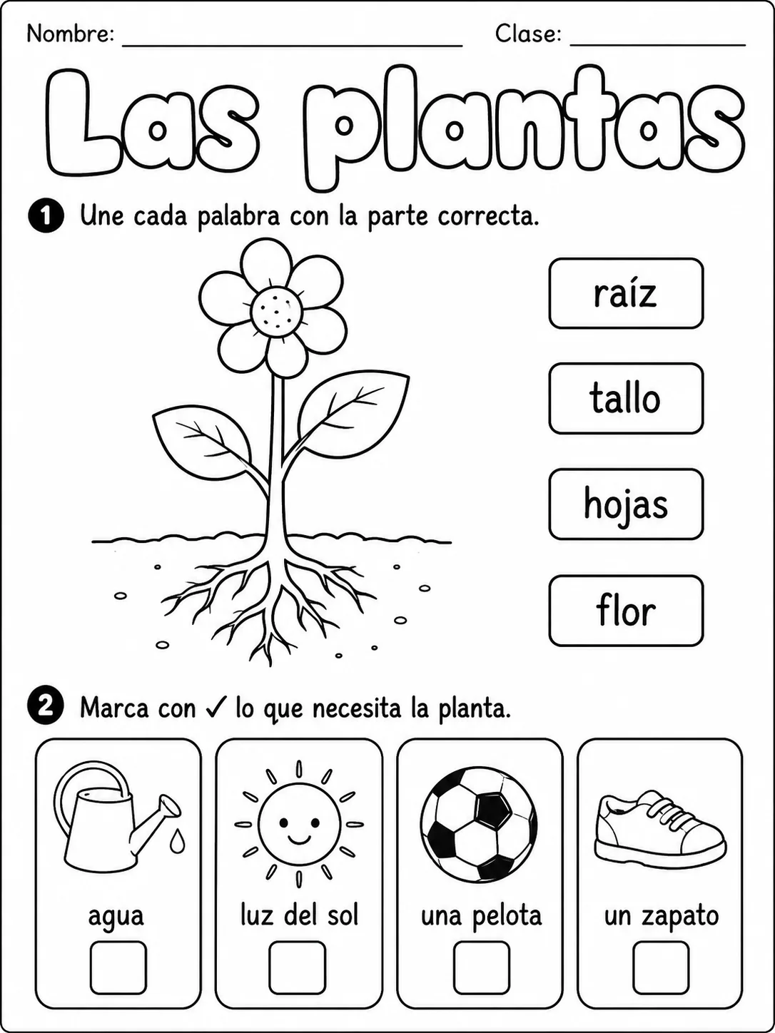 3.º grado - plantas - Paquete de fichas - Conjunto 3 página 2 vista previa imprimible
