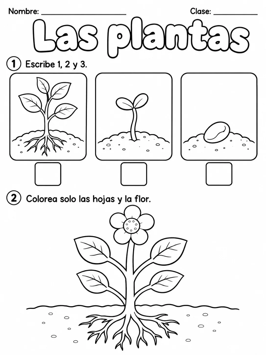 3.º grado - plantas - Paquete de fichas - Conjunto 3 página 4 vista previa imprimible