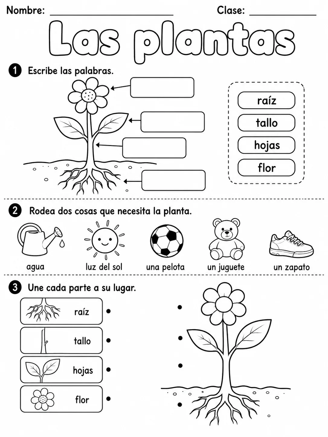 3.º grado - plantas - Paquete de fichas - Conjunto 3 página 7 vista previa imprimible