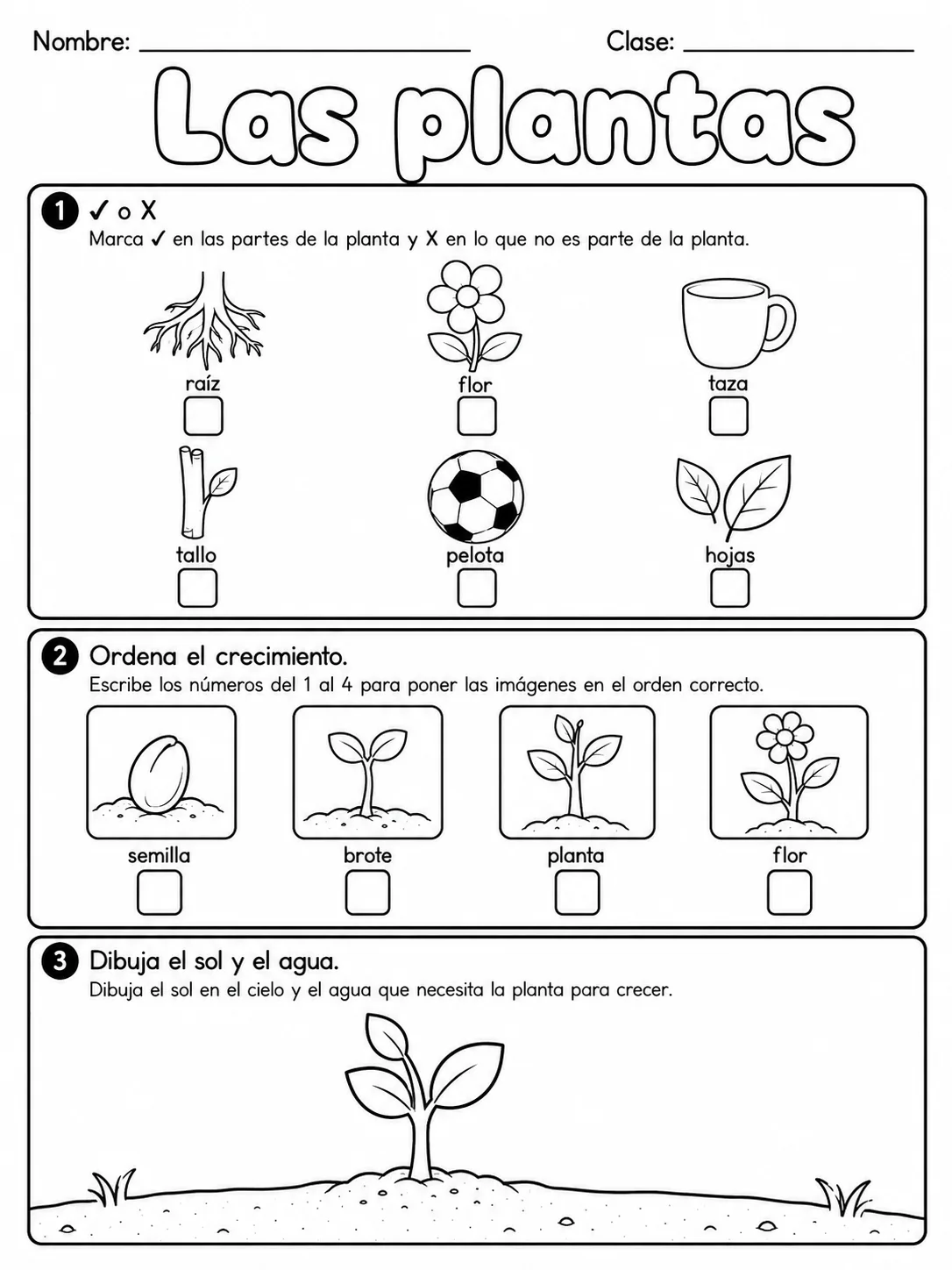 3.º grado - plantas - Paquete de fichas - Conjunto 3 página 8 vista previa imprimible