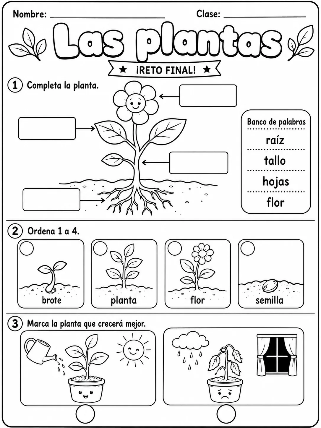 3.º grado - plantas - Paquete de fichas - Conjunto 3 página 10 vista previa imprimible